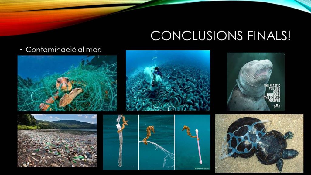 704ECE51-5A89-4D4B-8DAA-F9743C0B06A3