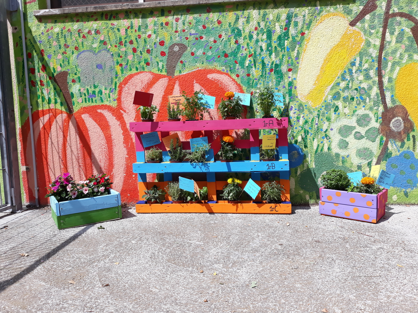 Jardineras en patio