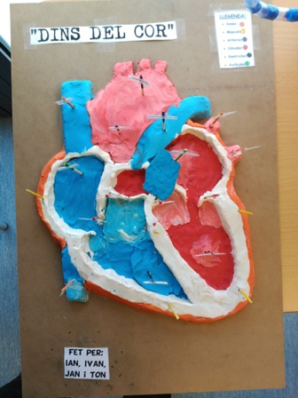 15.maquetes finals (1)