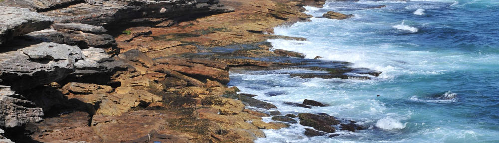 Fotografies de l'estança dels Petons
