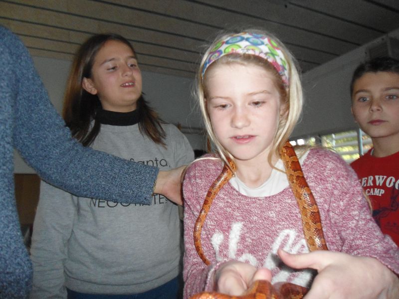 new_28_dsc04920
