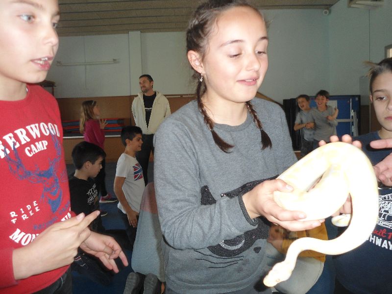 new_31_dsc04923