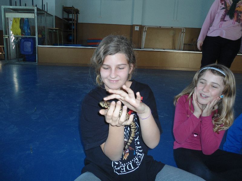 new_6_dsc04895