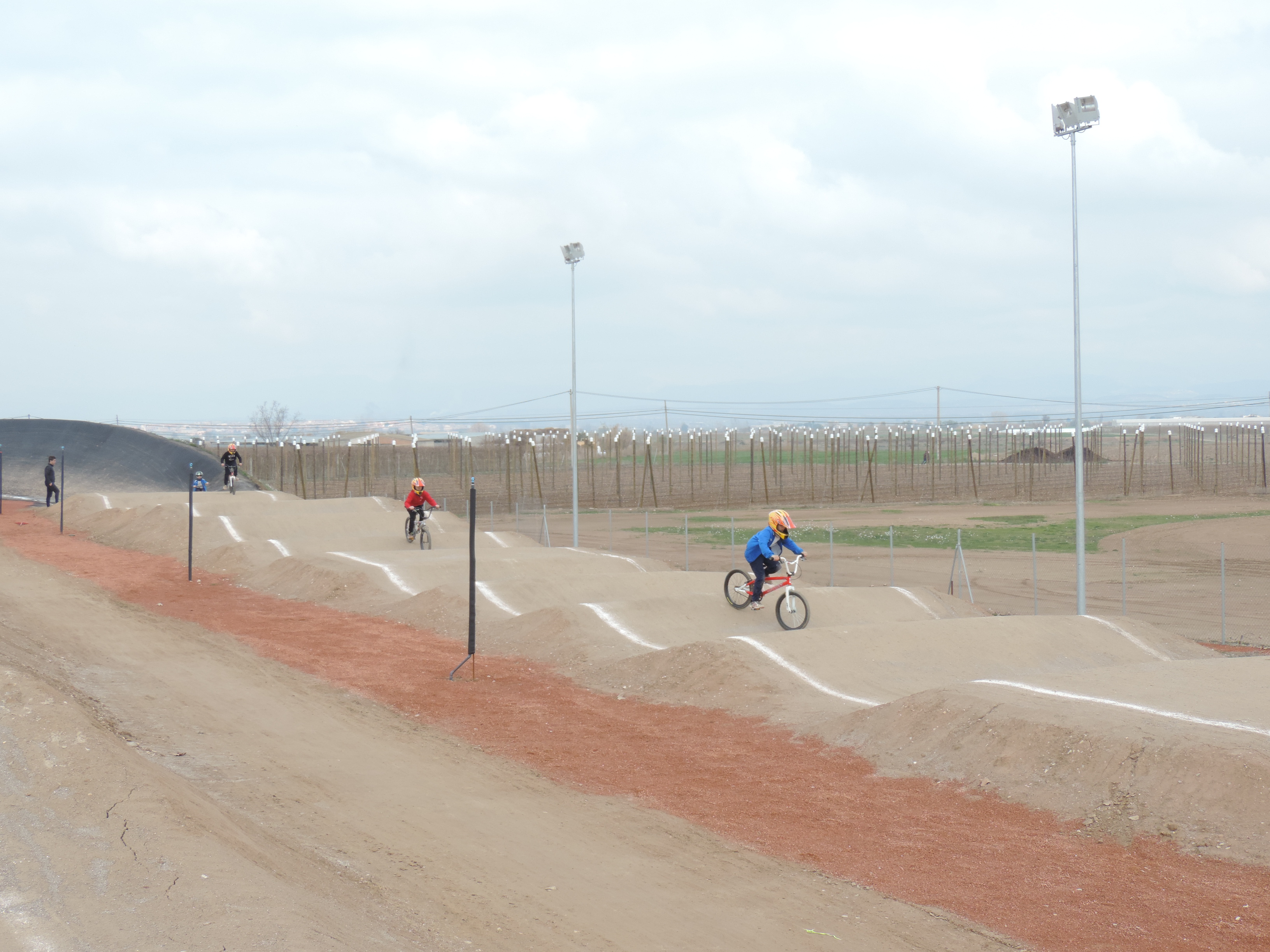 bmx (60)