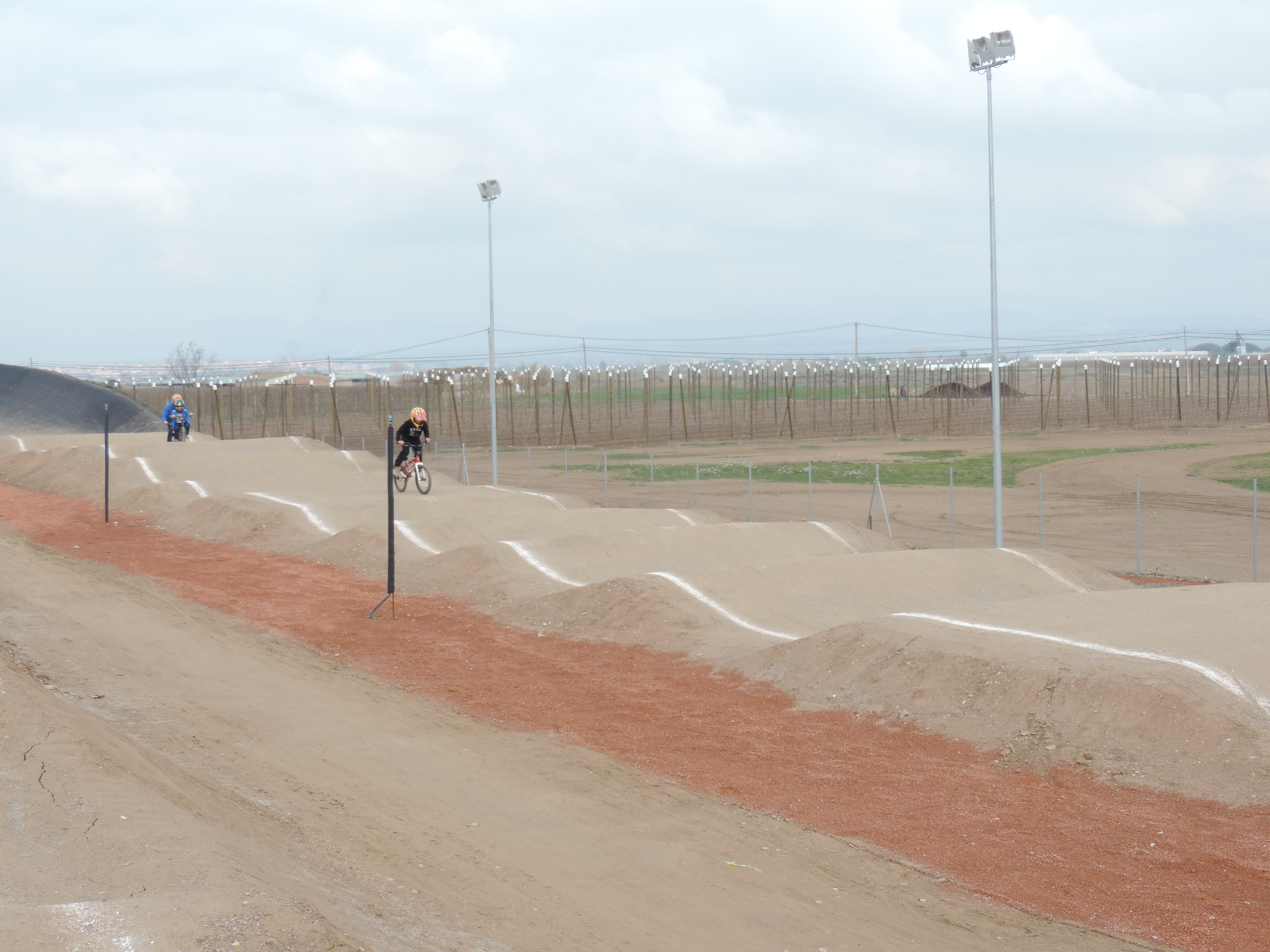 bmx (61)