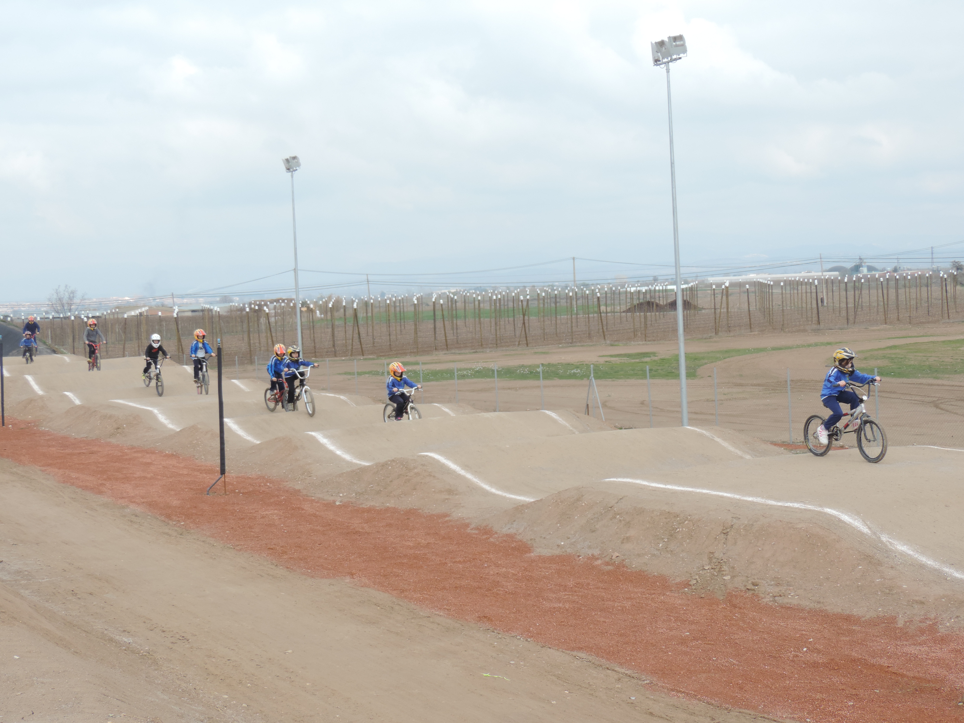 bmx (63)