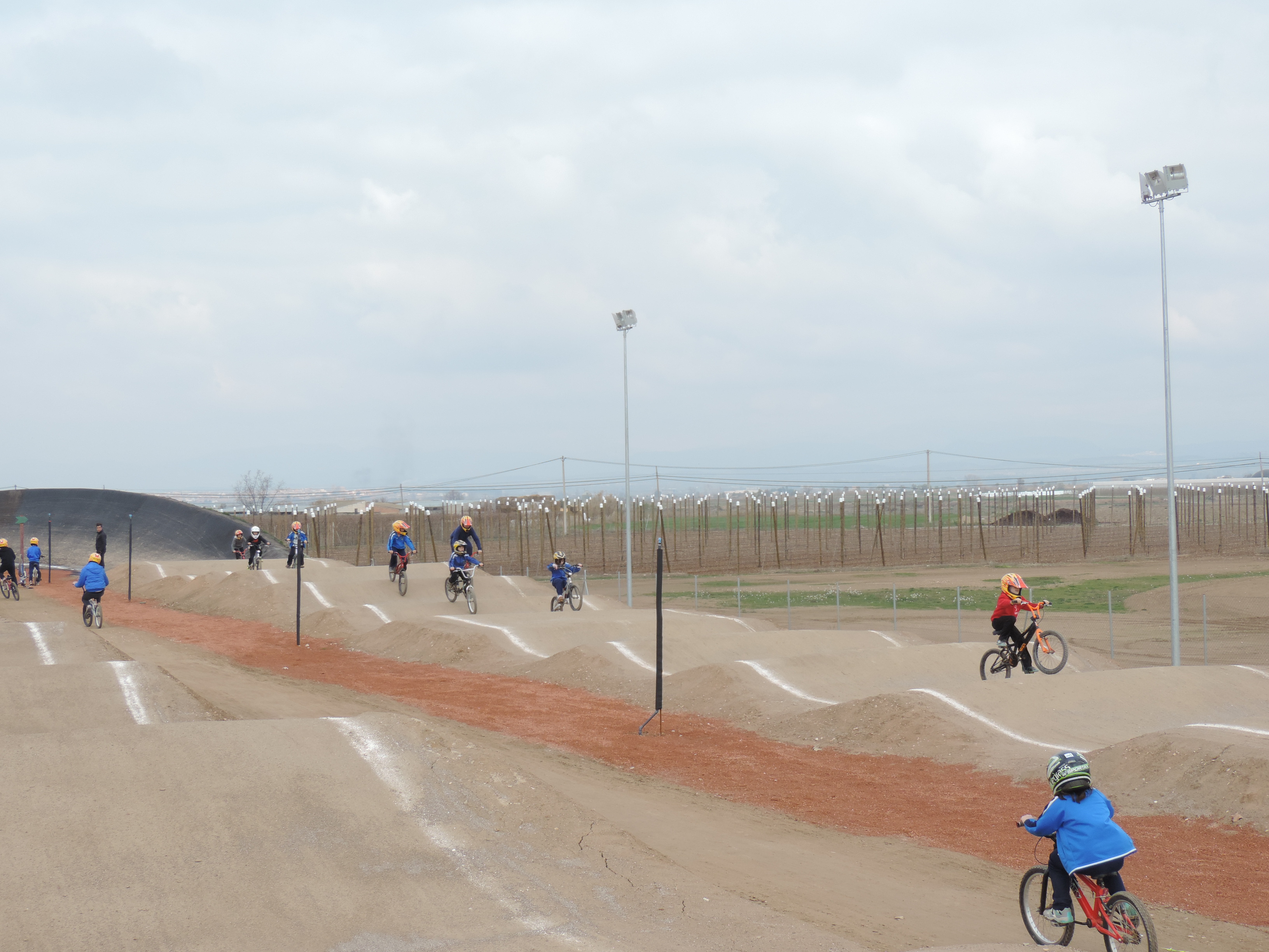 bmx (66)