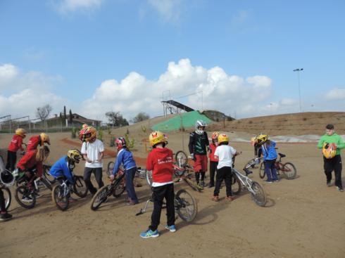 bmx (11)_490x367