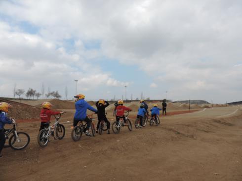 bmx (40)_490x367