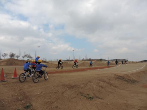 bmx (41)_490x367