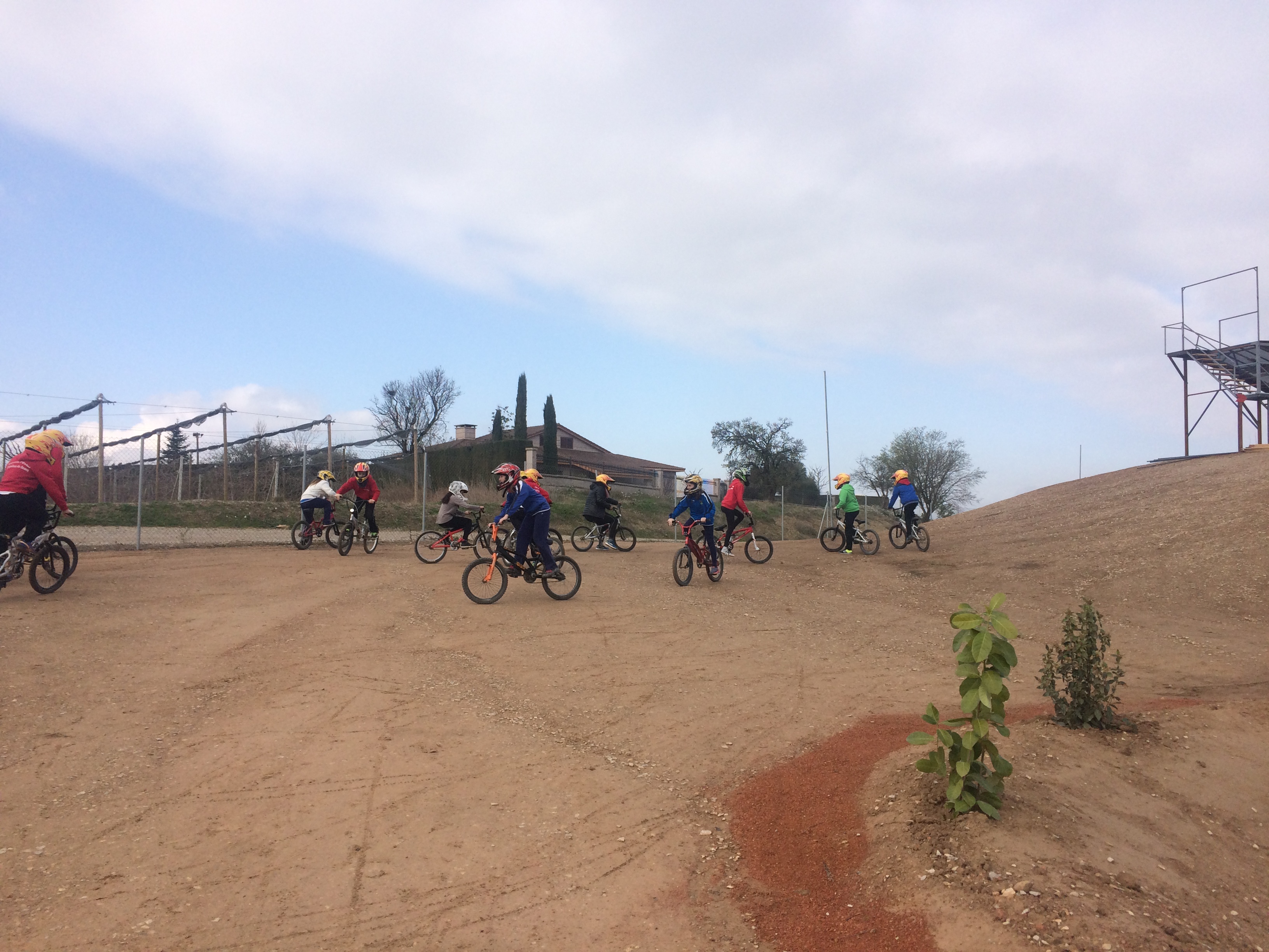bmx2 (11)