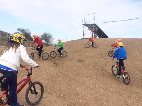 bmx2 (13)_490x367