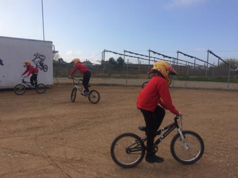 bmx2 (14)_490x367
