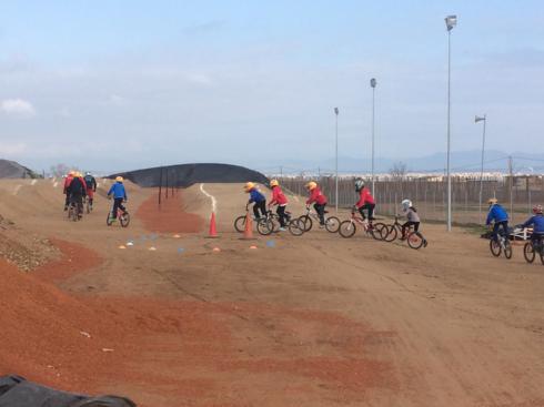 bmx2 (16)_490x367
