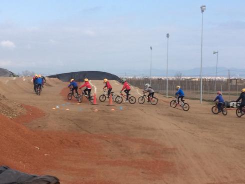 bmx2 (17)_490x367