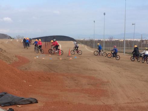 bmx2 (18)_490x367