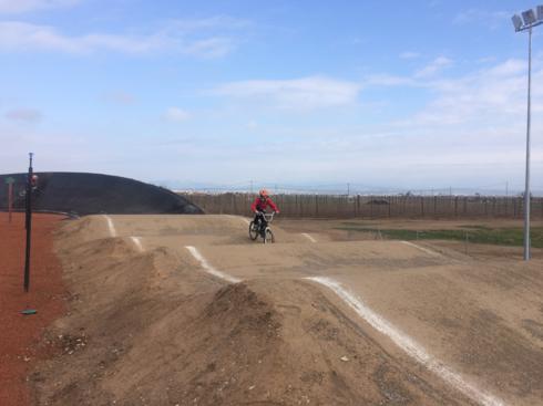 bmx2 (21)_490x367