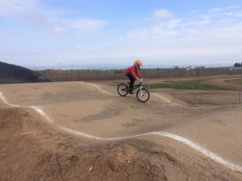 bmx2 (23)_490x367