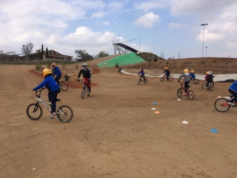 bmx2 (27)_490x367