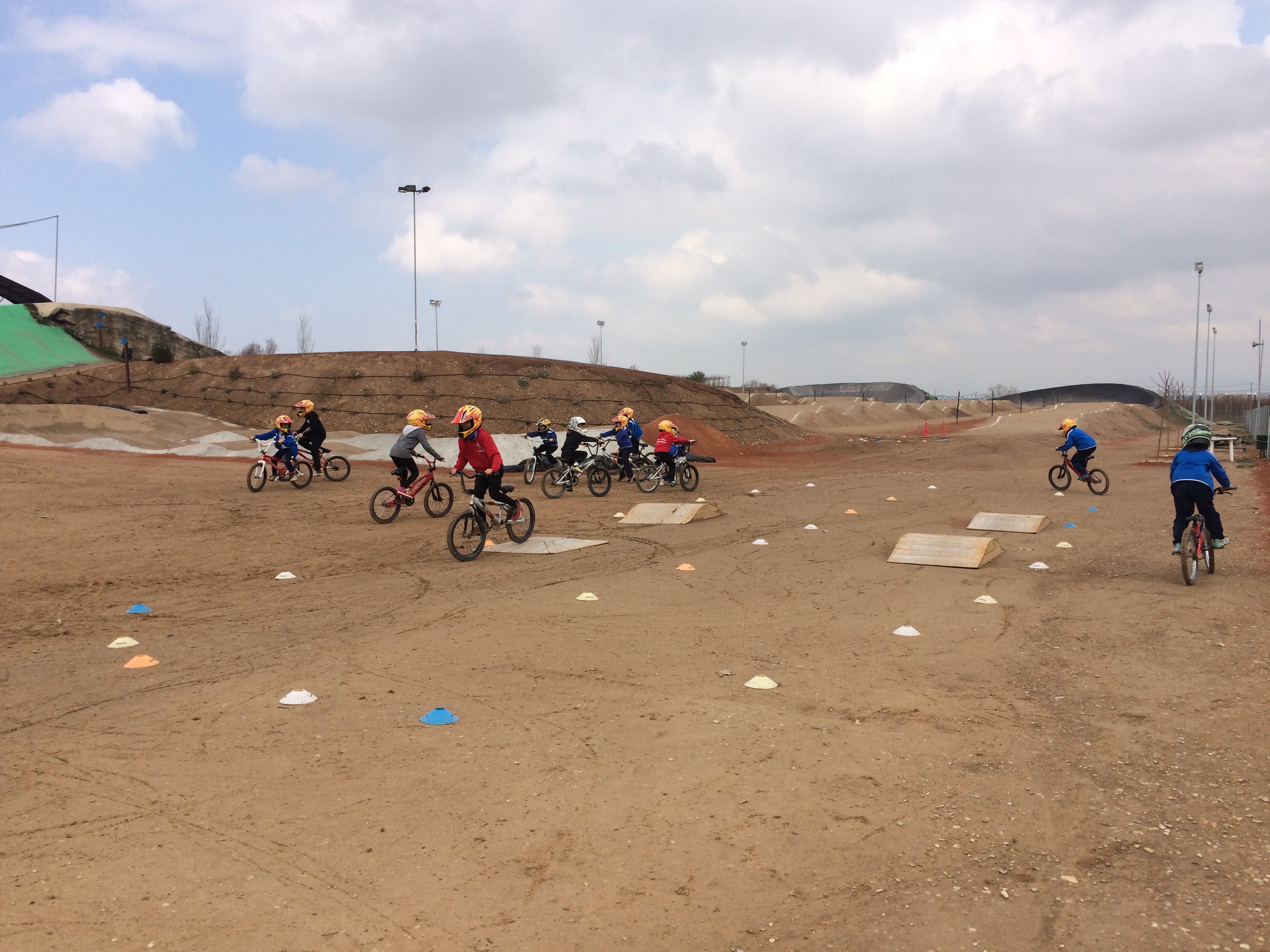 bmx2 (28)