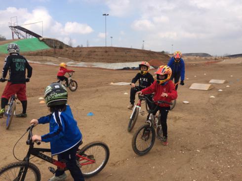 bmx2 (30)_490x367