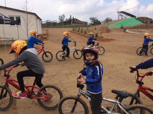 bmx2 (32)_490x367