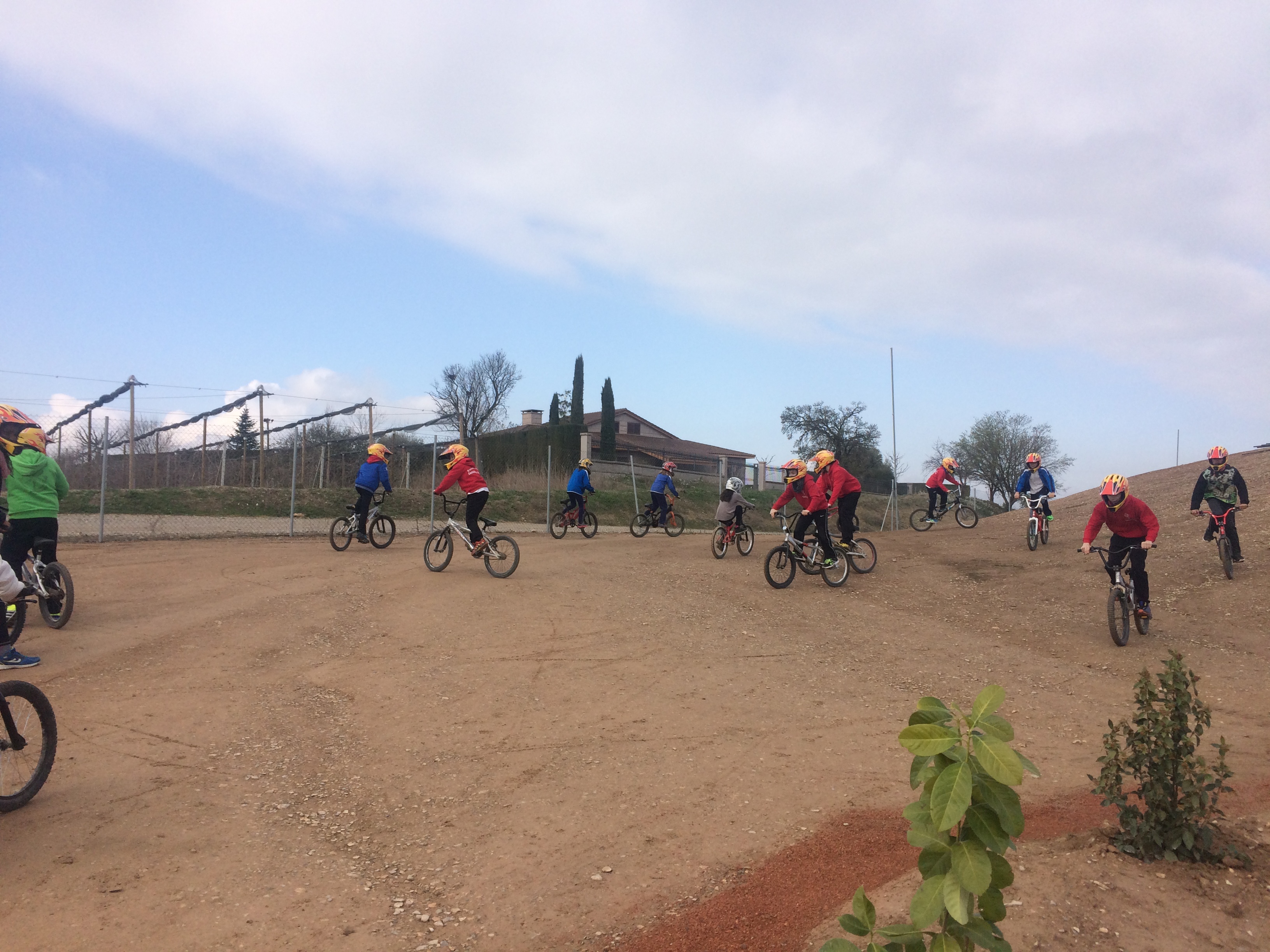 bmx2 (8)