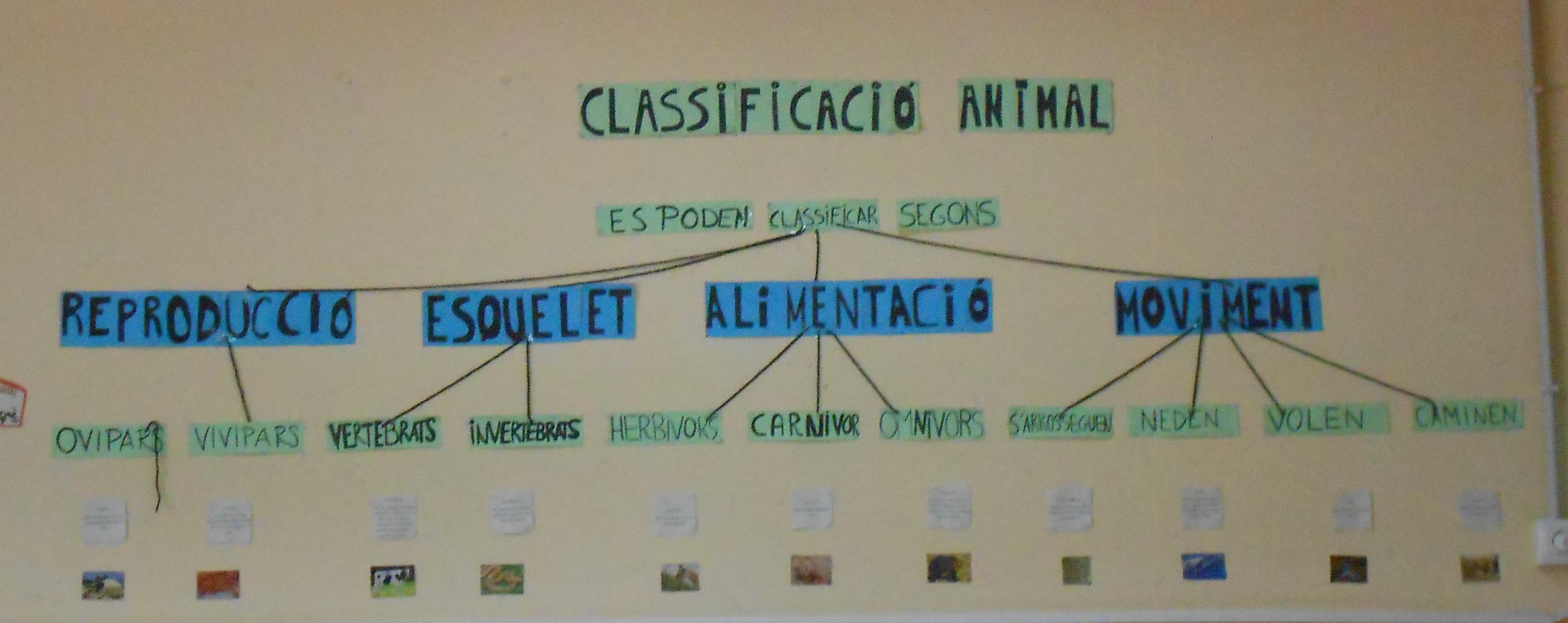 Foto classificació